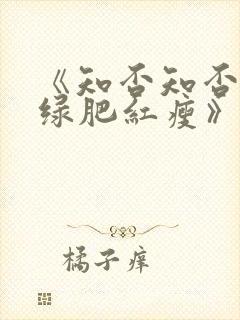 《知否知否应是绿肥红瘦》全集免费观看