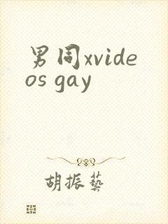 男同xvideos gay
