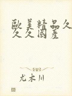 欧美精品久久久久久国产