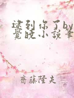 逮到你了by不觉晓小说笔趣阁