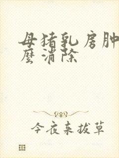 母猪乳房肿块怎么消除