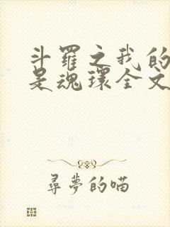 斗罗之我的武魂是魂环全文