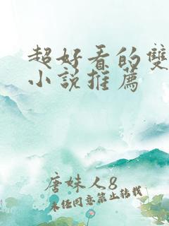 超好看的双男主小说推荐