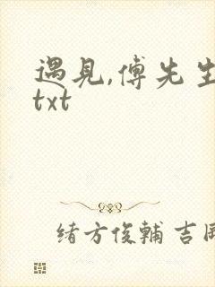 遇见,傅先生 txt