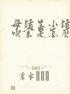 母猪生小猪后不吃食是怎么回事