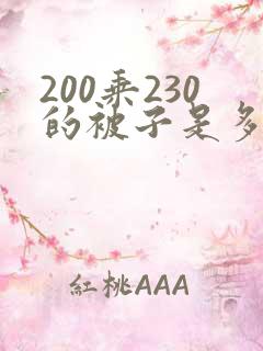 200乘230的被子是多大的
