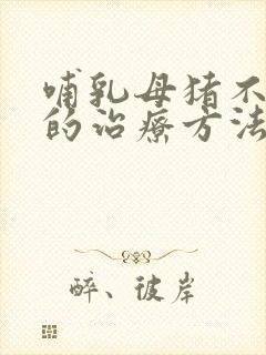 哺乳母猪不吃食的治疗方法