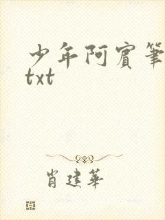 少年阿宾笔趣阁txt