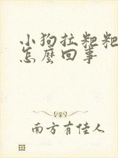 小狗拉粑粑有血怎么回事