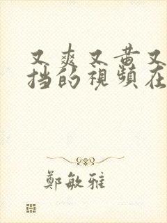 又爽又黄又无遮挡的视频在线观看