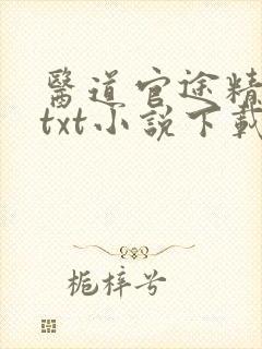 医道官途精校版txt小说下载