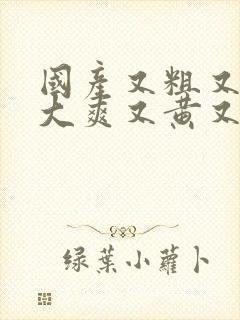 国产又粗又猛又大爽又黄又硬视频