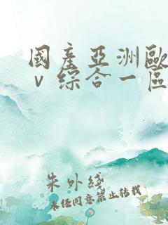 国产亚洲欧洲aⅴ综合一区