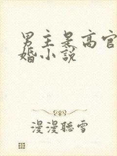 男主是高官的二婚小说