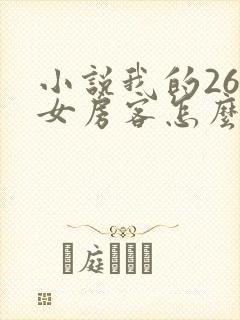 小说我的26岁女房客怎么样
