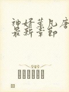 神婿叶凡唐若雪最新章节