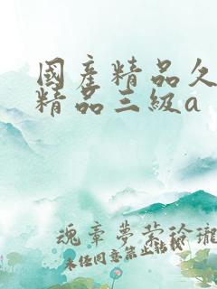 国产精品久久久精品三级a