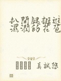 扒开腿挺进小乔湿润的花苞...