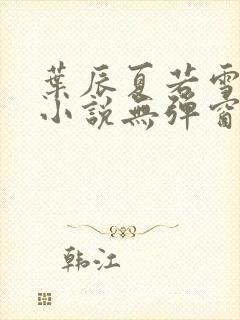 叶辰夏若雪孙怡小说无弹窗