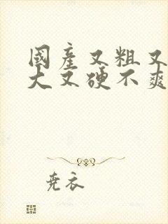 国产又粗又长又大又硬不爽