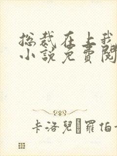 总裁在上我在下小说免费阅读全文