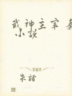 武神主宰 秦尘 小说