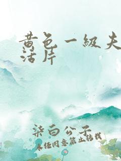 黄色一级夫妻生活片