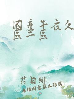 国产午夜久久一区二区