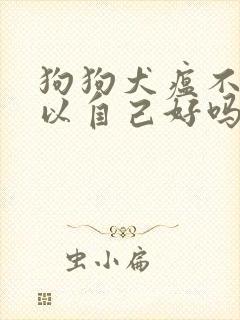 狗狗犬瘟不治可以自己好吗