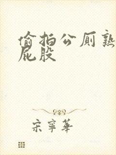 偷拍公厕熟女大屁股