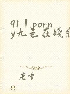 91丨porny九色在线观看