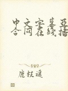 中文字幕亚洲综合网在线播放