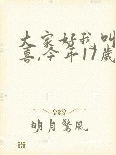 大家好我叫林小喜,今年17岁全文阅读