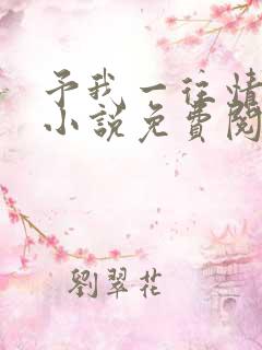 予我一往情深 小说免费阅读完本