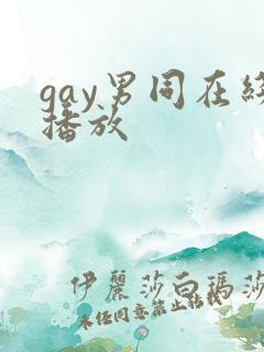 gay男同在线播放