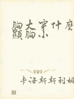 胸大穿什么内衣显胸小