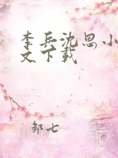 李兵沈思小说全文下载