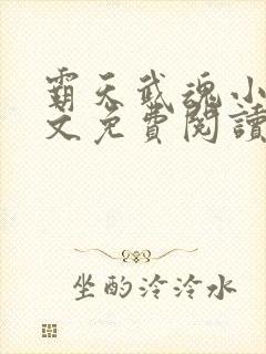 霸天武魂小说全文免费阅读