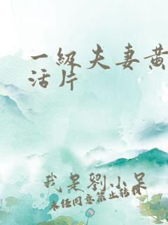 一级夫妻黄色生活片