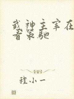武神主宰在线观看策驰