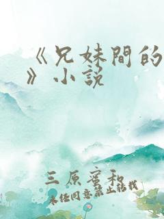 《兄妹间的秘密》小说