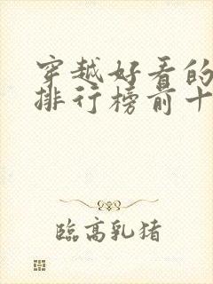 穿越好看的小说排行榜前十名