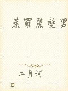 叶罗丽双男小说