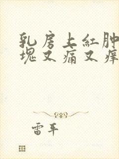 乳房上红肿有肿块又痛又痒的疙瘩