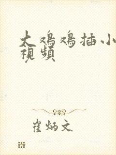 大鸡鸡插小逼逼视频