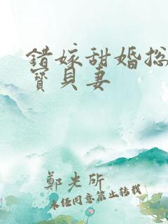 错嫁甜婚总裁的宝贝妻