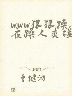 www狠狠躁夜夜躁人爽碰av