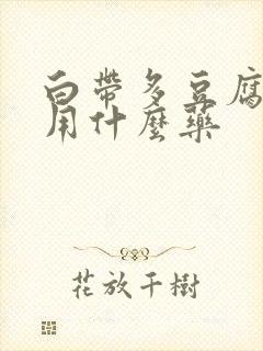 白带多豆腐渣状用什么药