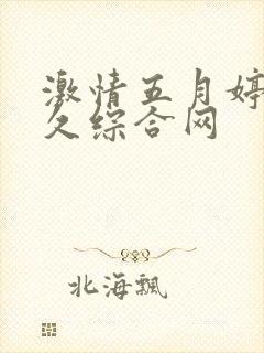 激情五月婷婷久久综合网