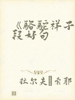 《骆驼祥子》好段好句